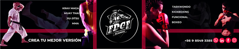 Edge Combat Systems Academy 