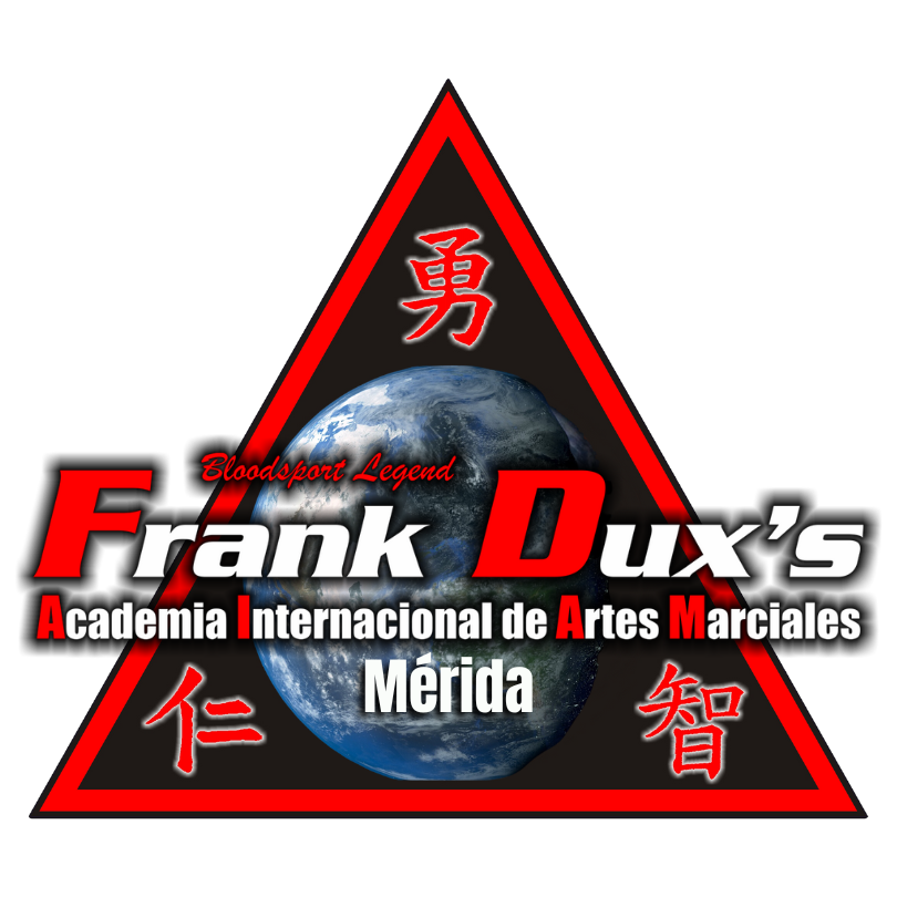 Academia Internacional de Artes Marciales Mérida 