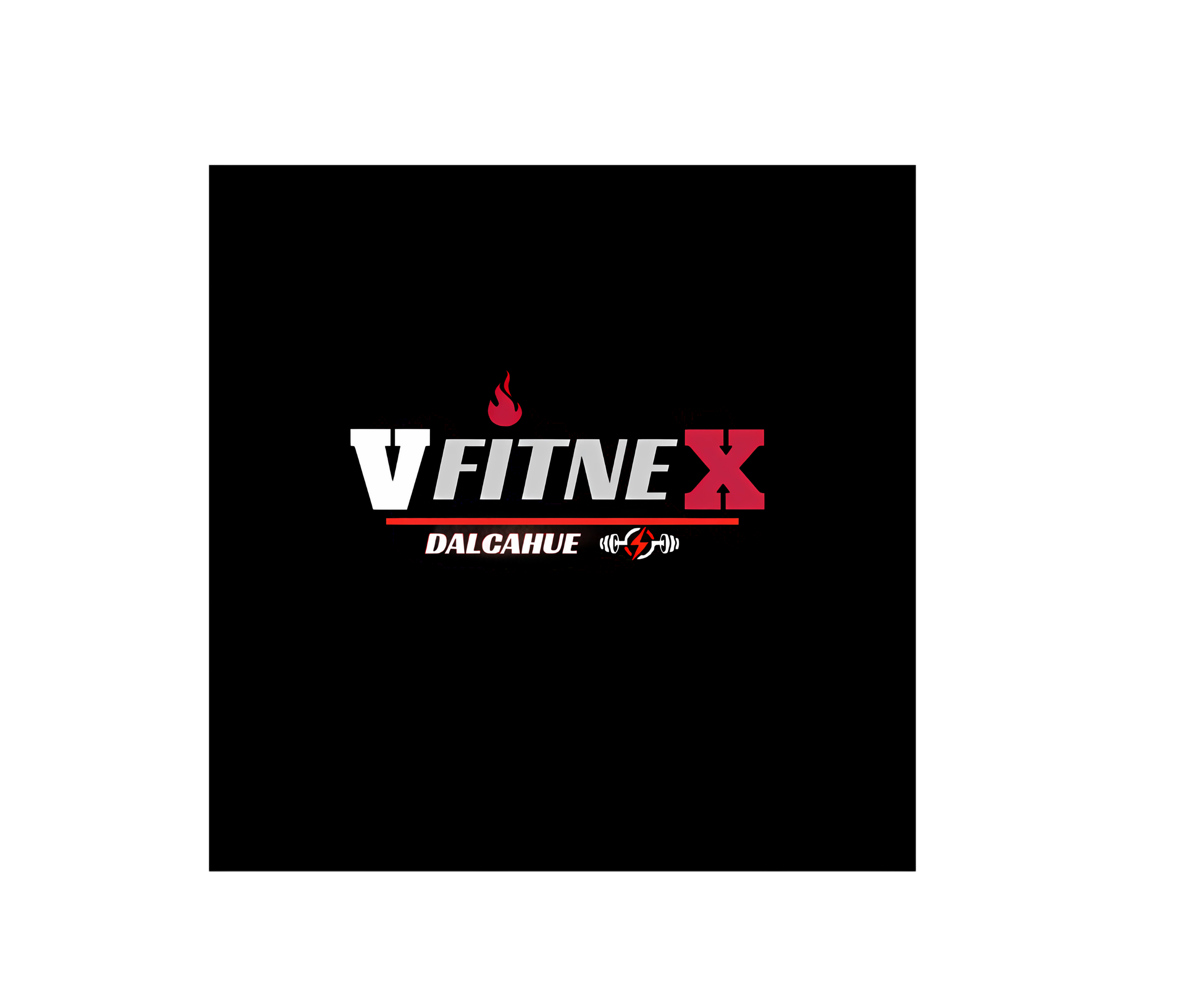 VfitneX Dalcahue