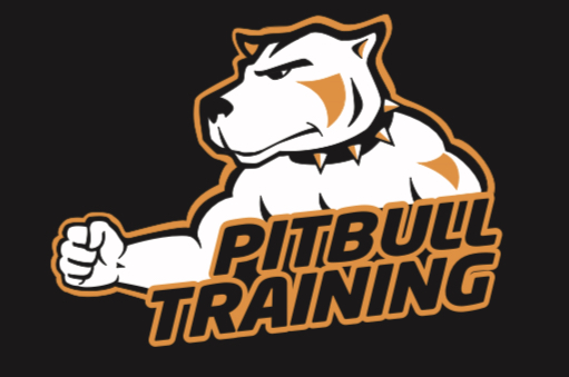 Pitbull Training