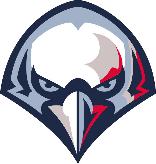 Falcon Boxing