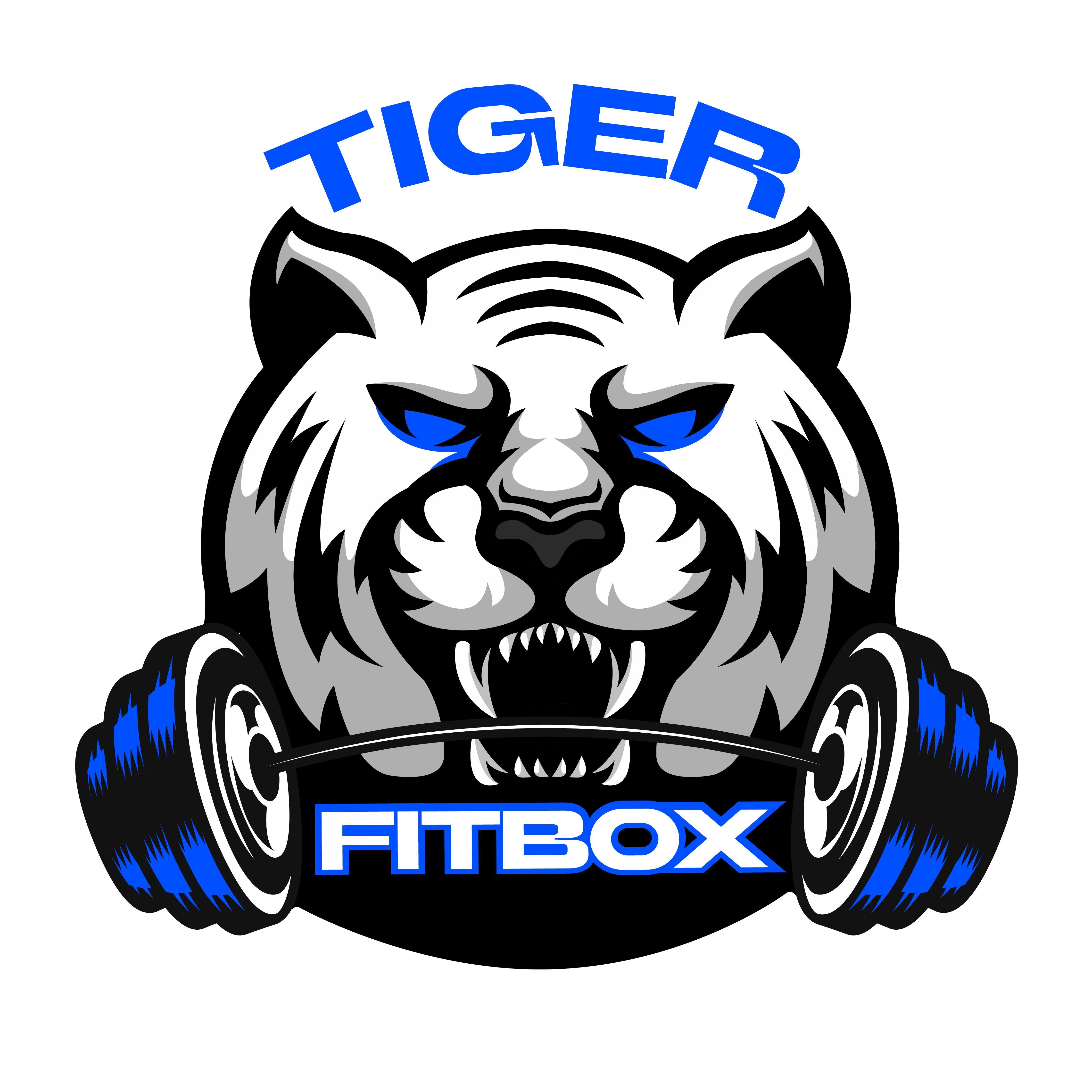 TIGER FITBOX
