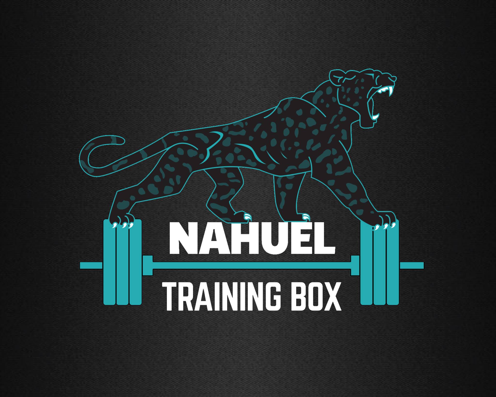 Nahuel Training Box