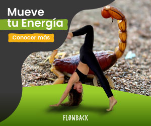 Flowback Fitness